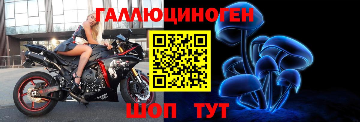 Кировск  Галлюциногенные грибы Psilocybine cubensis  Галлюциногенные грибы Cubensis  Вход с VPN 